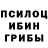 Псилоцибиновые грибы Psilocybine cubensis Kirill line